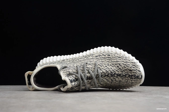 350 Adidas Dove Turtle YEEZY AQ4832 Boost 1001